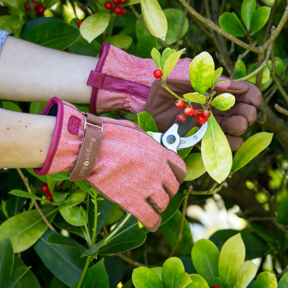 Love The Glove Oak Leaf